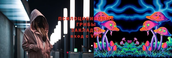 мет Арсеньев