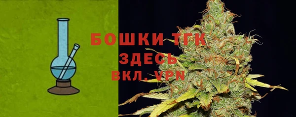сатива Армянск