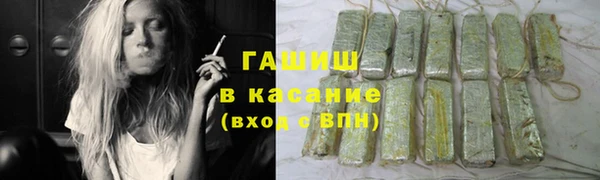 сатива Армянск