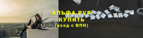 сатива Армянск