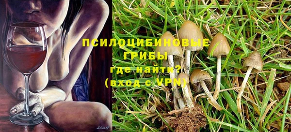 ПСИЛОЦИБИНОВЫЕ ГРИБЫ Аркадак