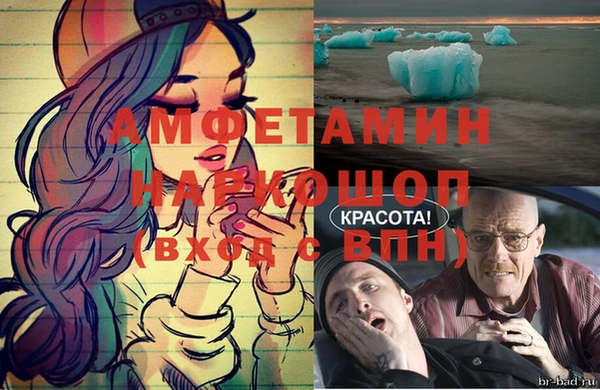 сатива Армянск