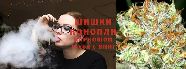 сатива Армянск