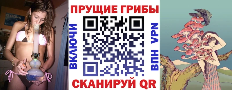 Псилоцибиновые грибы MAGIC MUSHROOMS  купить  сайты  Нефтекумск 