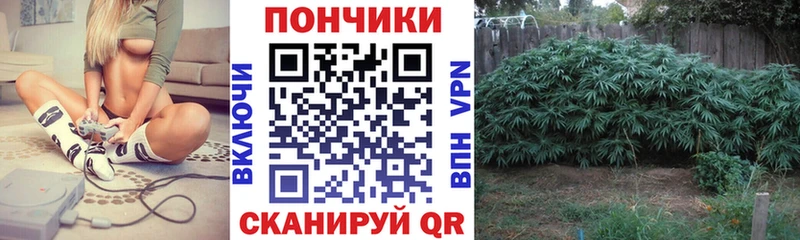 Шишки марихуана ГИДРОПОН  hydra ONION  Нефтекумск 