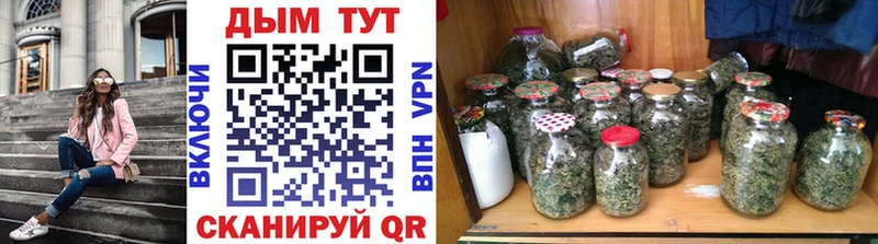 Бошки марихуана сатива Нефтекумск